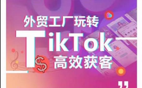 外贸工厂玩转TikTok高效获客，多种引流方式与账号定位技巧，拆解爆款短视频打造成功案例-精品虚拟资源库