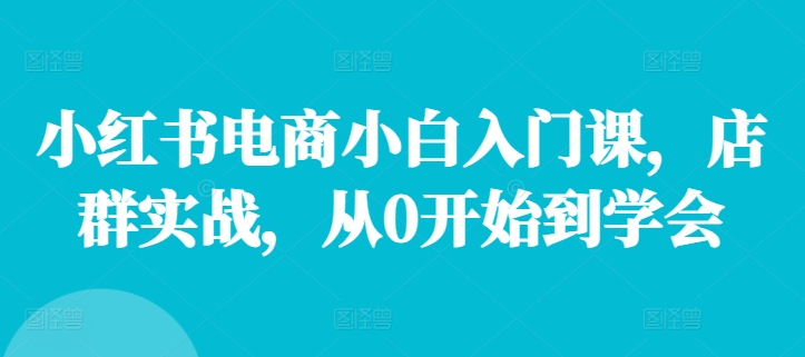 小红书电商小白入门课，店群实战，从0开始到学会-精品虚拟资源库