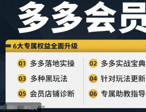 拼多多会员，拼多多实战宝典+实战落地实操，从新手到高阶内容全面覆盖-精品虚拟资源库