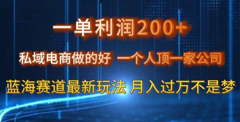 一单利润200私域电商做的好，一个人顶一家公司蓝海赛道最新玩法【揭秘】-精品虚拟资源库
