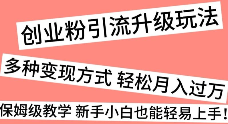 创业粉引流升级玩法，多种变现方式轻松月入过万，保姆级教学新手小白也能轻易上手！-精品虚拟资源库