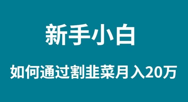 (9308期)新手小白如何通过割韭菜月入 20W-精品虚拟资源库