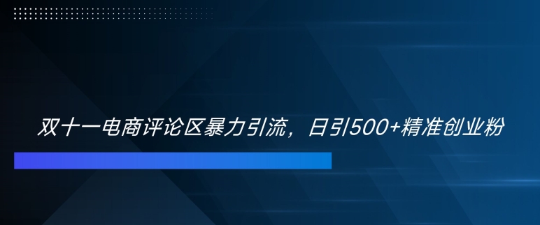 双十一电商评论区暴力引流，日引500+精准创业粉【揭秘】-精品虚拟资源库