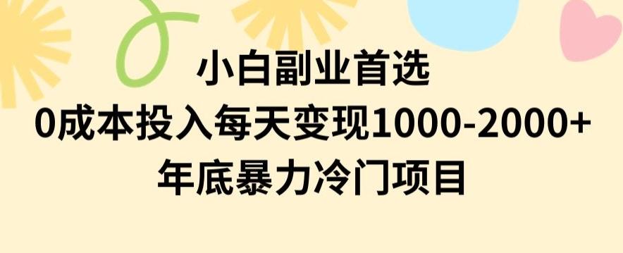 小白副业首选，0成本投入，每天变现1000-2000年底暴力冷门项目【揭秘】-精品虚拟资源库