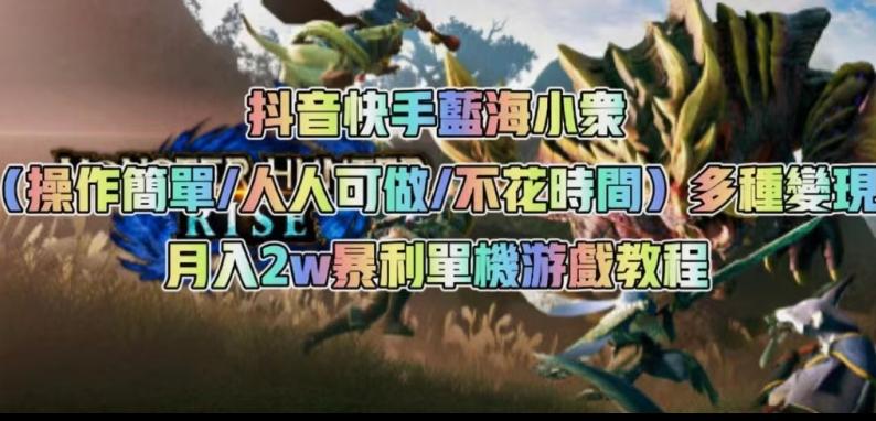 抖音快手蓝海小众（操作简单人人可做不花时间）多种变现月入2w＋暴利单机游戏教程-精品虚拟资源库