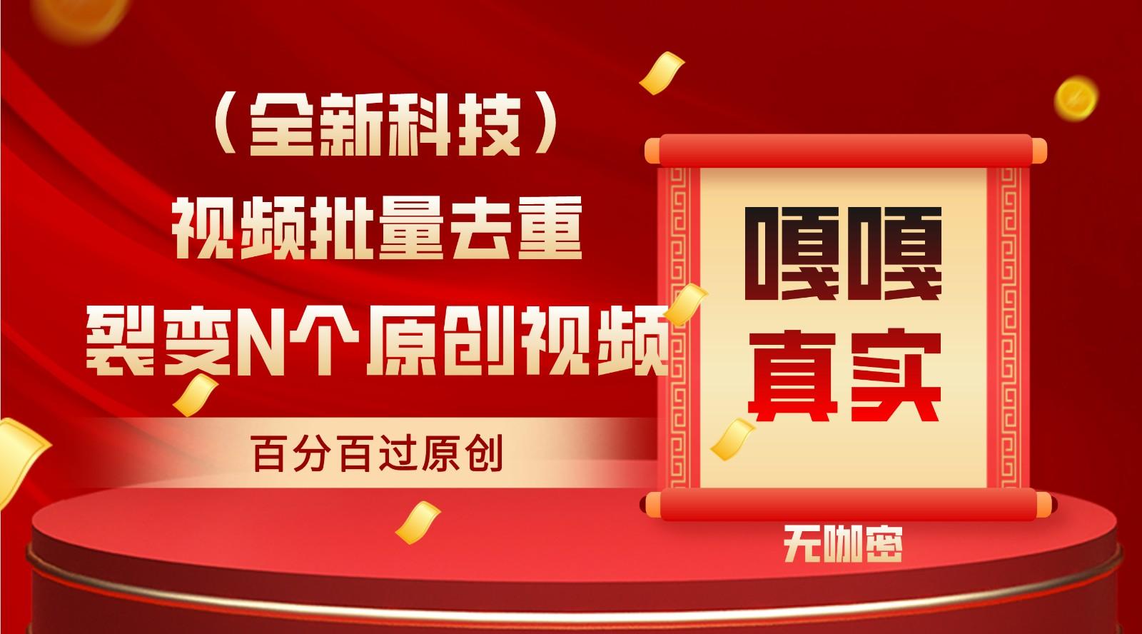 最新全自动去重技术，批量操作百分百过原创-精品虚拟资源库