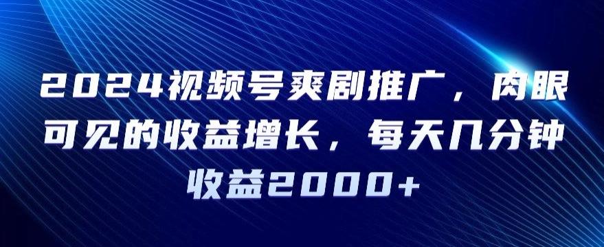 2024视频号爽剧推广，肉眼可见的收益增长，每天几分钟收益2000+【揭秘】-精品虚拟资源库