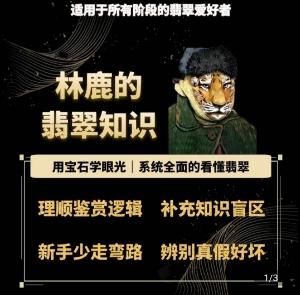 林鹿的翡翠知识，​用宝石眼光，系统全面的看懂翡翠-精品虚拟资源库