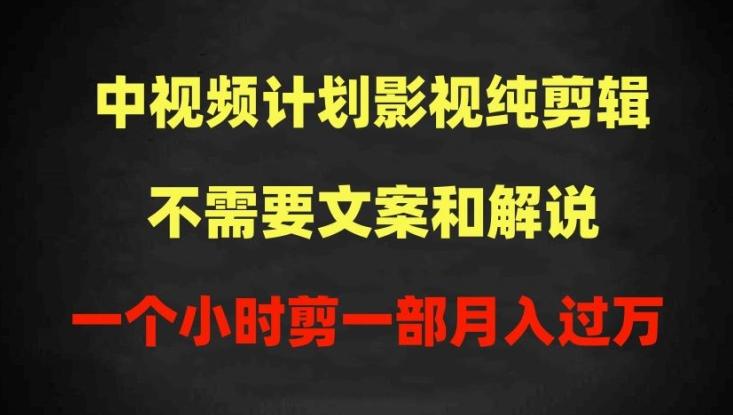 中视频计划影视纯剪辑，不需要文案和解说，一个小时剪一部，100%过原创月入过万【揭秘】-精品虚拟资源库