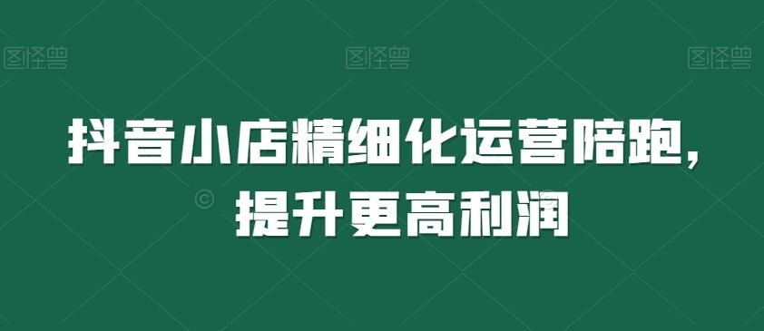 抖音小店精细化运营陪跑，提升更高利润-精品虚拟资源库