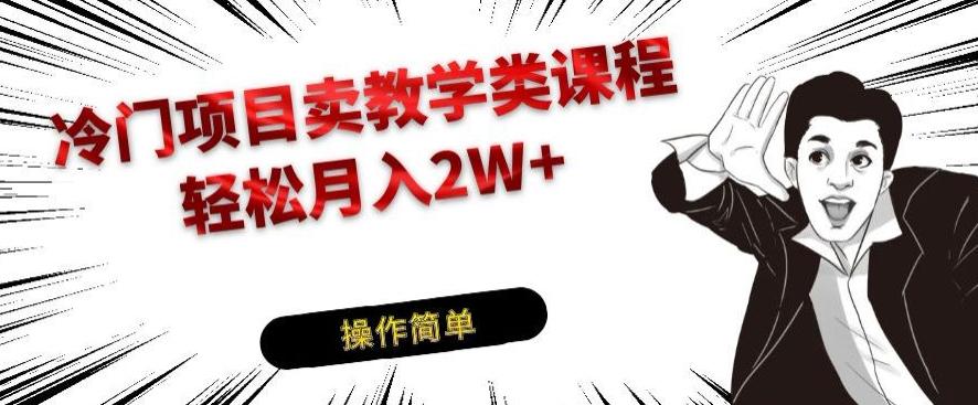 冷门项目卖教学类课程，轻松月入2W+-精品虚拟资源库