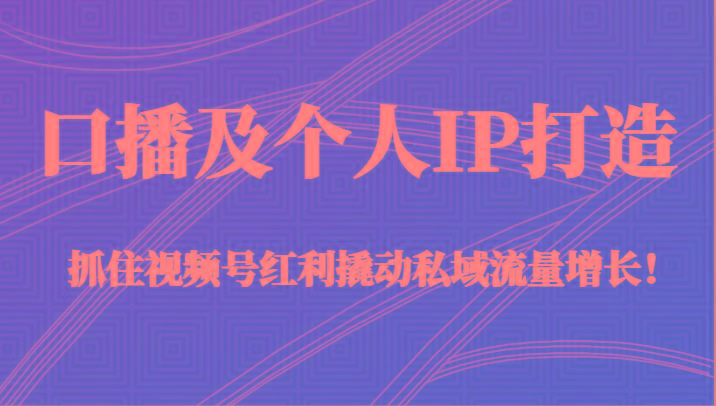 口播及个人IP打造，抓住视频号红利撬动私域流量增长！（45节课）-精品虚拟资源库