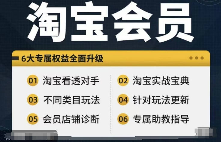淘宝会员【淘宝所有课程，全面分析对手】，初级到高手全系实战宝典-精品虚拟资源库