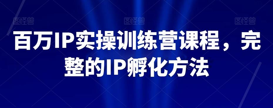 百万IP实操训练营课程，完整的IP孵化方法-精品虚拟资源库