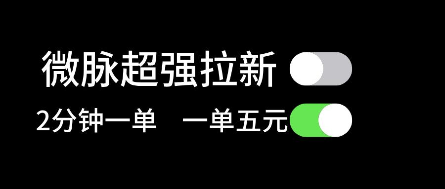微脉超强拉新， 两分钟1单， 一单利润5块，适合小白-精品虚拟资源库