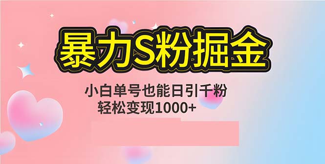 单人单机日引千粉，变现1000+，S粉流量掘金计划攻略-精品虚拟资源库