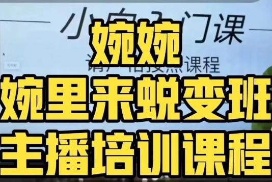 婉婉·婉里来蜕变班（主播课）全方位理解底层逻辑并灵活运用-精品虚拟资源库