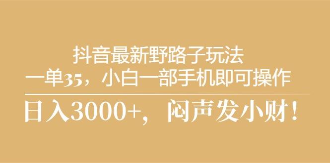 抖音最新野路子玩法，一单35，小白一部手机即可操作，，日入3000+，闷…-精品虚拟资源库