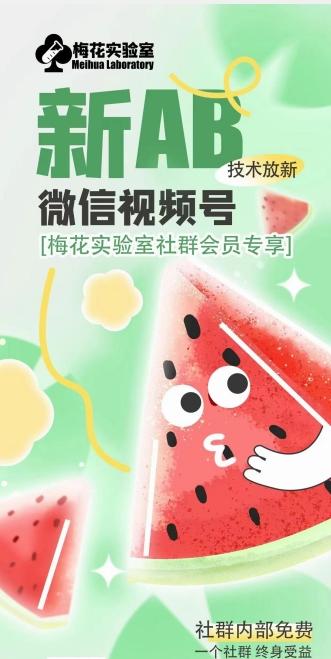 梅花实验室2024年AB技术视频号AB合成破解版-精品虚拟资源库