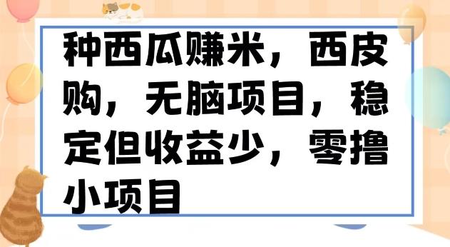 种西瓜赚米，西皮购稳定长久零撸小项目-精品虚拟资源库