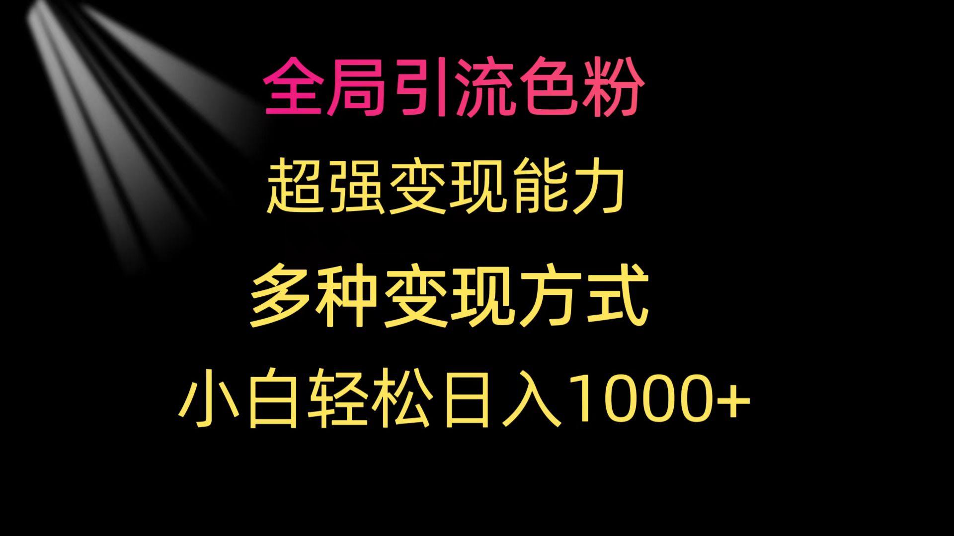 (9680期)全局引流色粉 超强变现能力 多种变现方式 小白轻松日入1000+-精品虚拟资源库