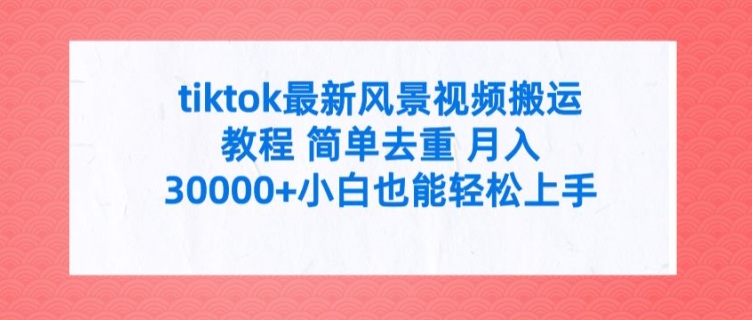 tiktok最新风景视频搬运教程 简单去重 月入3W+小白也能轻松上手【揭秘】-精品虚拟资源库