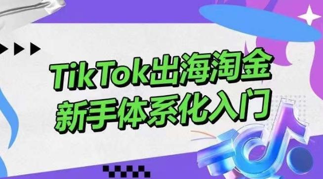 TikTok出海淘金，新手体系化入门，零基础快速入门，掌握短视频、直播带货等引流到变现的知识-精品虚拟资源库