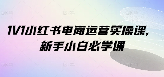 1V1小红书电商运营实操课，新手小白必学课-精品虚拟资源库