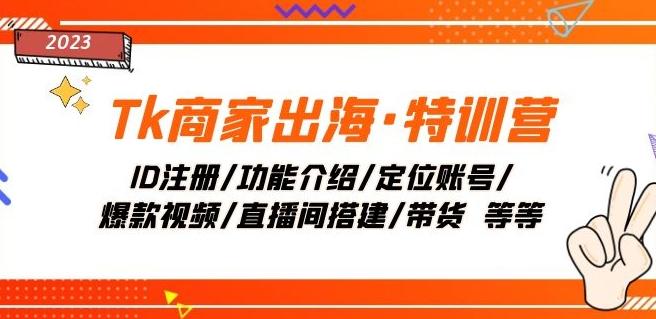 Tk商家出海·特训营：ID注册/功能介绍/定位账号/爆款视频/直播间搭建/带货-精品虚拟资源库