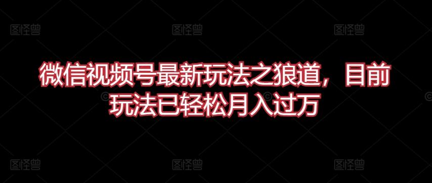 微信视频号最新玩法之狼道，目前玩法已轻松月入过万【揭秘】-精品虚拟资源库