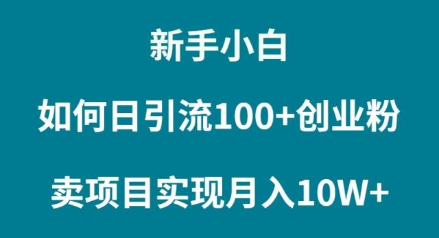 (9556期)新手小白如何通过卖项目实现月入10W+-精品虚拟资源库