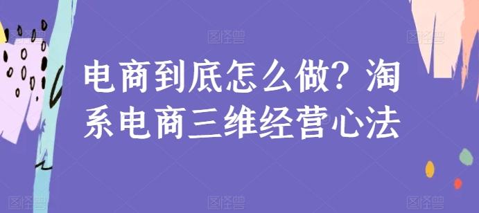 电商到底怎么做？淘系电商三维经营心法-精品虚拟资源库