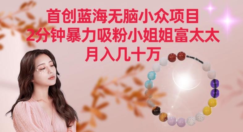 首创蓝海无脑小众项目，2分钟暴力吸粉小姐姐富太太，月入几十万【揭秘】-精品虚拟资源库