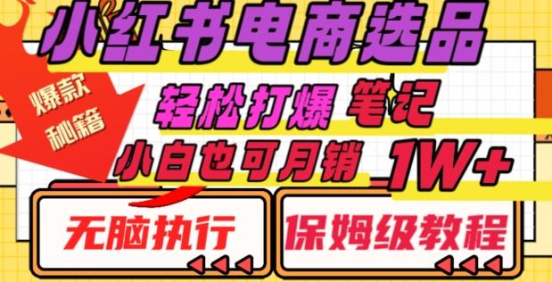 小红书电商爆款选品秘籍，帮你轻松打爆笔记，小白也可轻松月销10000+-精品虚拟资源库