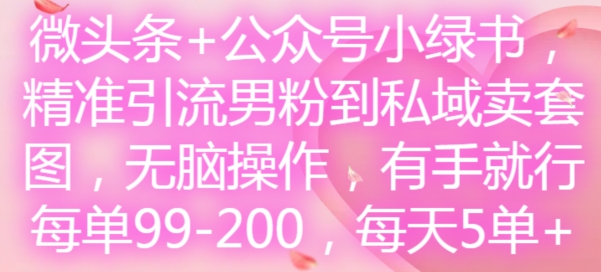 微头条+公众号小绿书，精准引流男粉到私域卖套图，无脑操作，有手就行，每单99-200，每天5单-精品虚拟资源库