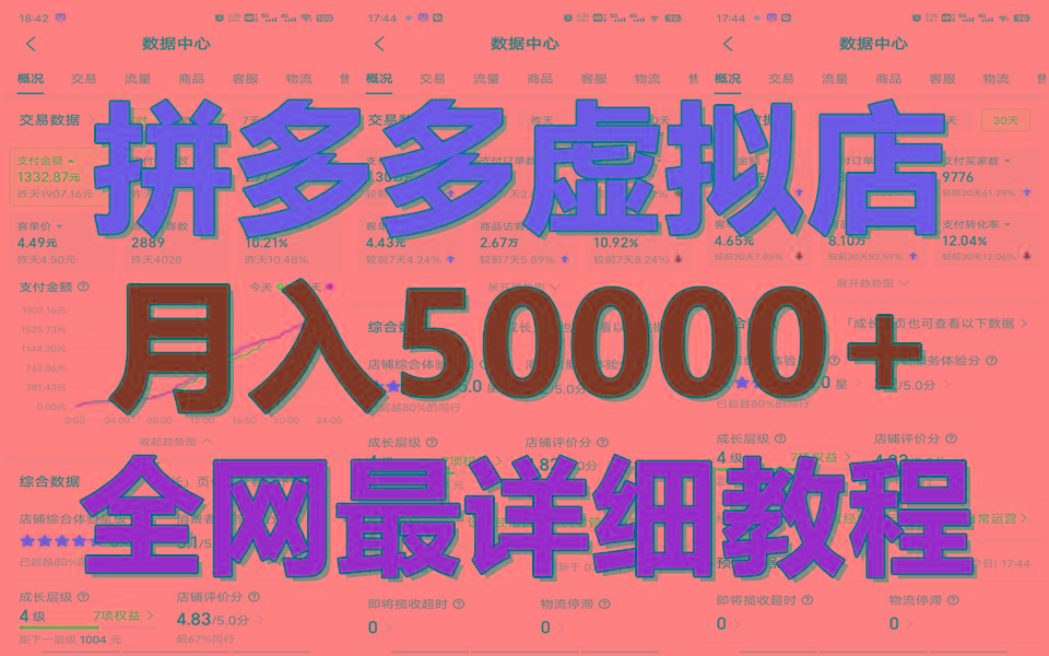 拼多多虚拟电商训练营月入50000+你也行，暴利稳定长久，副业首选-精品虚拟资源库