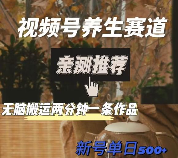 视频号养生赛道暴力掘金，无脑搬运，两分钟一条作品-新日单入500+-精品虚拟资源库