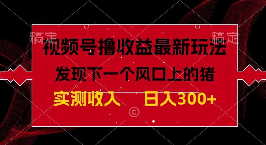 视频号分成计划最新玩法，单条作品几分钟制作完成,日入300+，过年前最后的冲刺-精品虚拟资源库