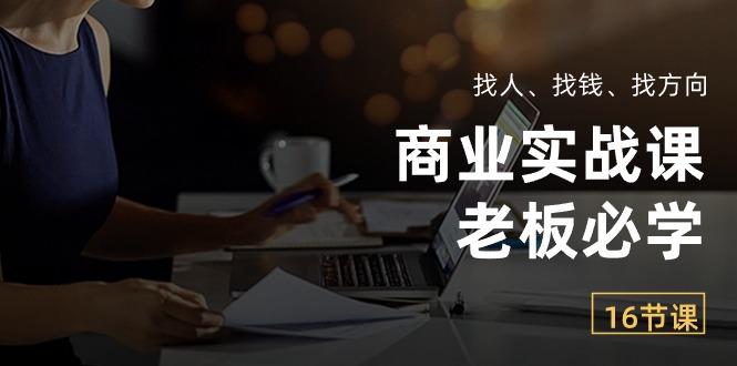 商业实战课【老板必学】：找人、找钱、找方向(16节课-精品虚拟资源库