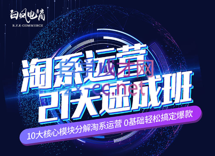 淘系运营21天速成班(更新24年6月)-精品虚拟资源库