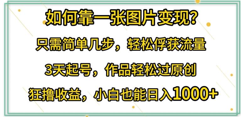 如何靠一张图片变现?只需简单几步，轻松俘获流量，3天起号，作品轻松过原创【揭秘】-精品虚拟资源库