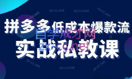 卡卡老师·拼多多低成本爆款流实战私教课-精品虚拟资源库