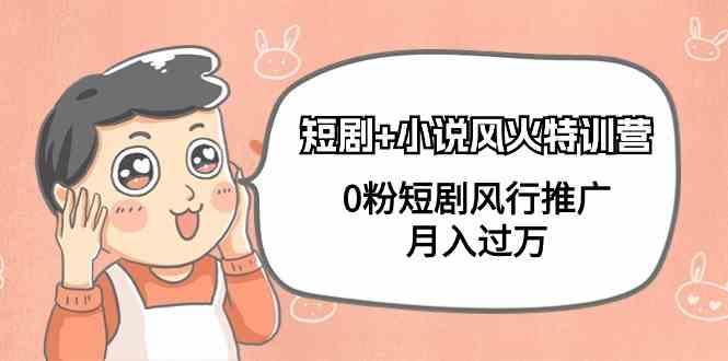 小说+短剧风火特训营，0粉短剧小说风行推广，实现月入过万-精品虚拟资源库
